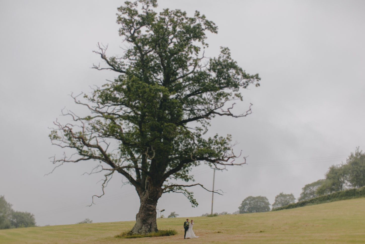 Bride and Groom under giant Oak Tree in Bath by Tori hancock Photography